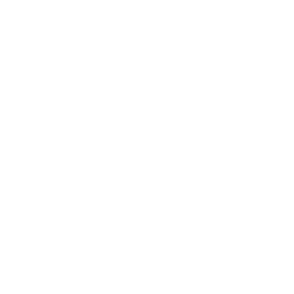 Adani